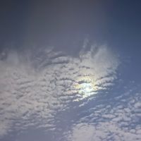 金龍汽車最新消息今天