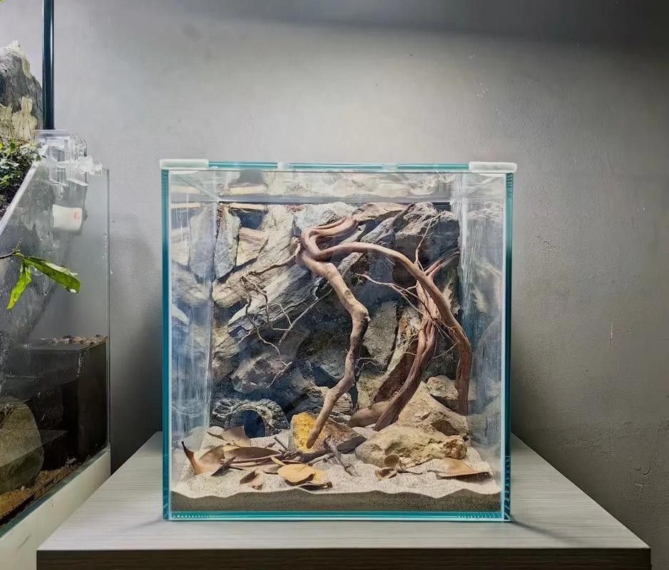 彩虹雷龍魚缸造景圖片