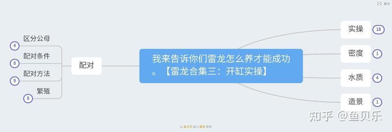 彩虹雷龍魚缸造景圖片