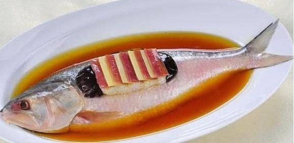 紅龍魚回收價格多少錢一斤