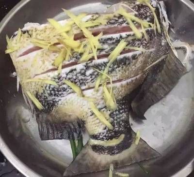 龍魚吃自助餐好不好呢，龍魚吃自助餐好不好