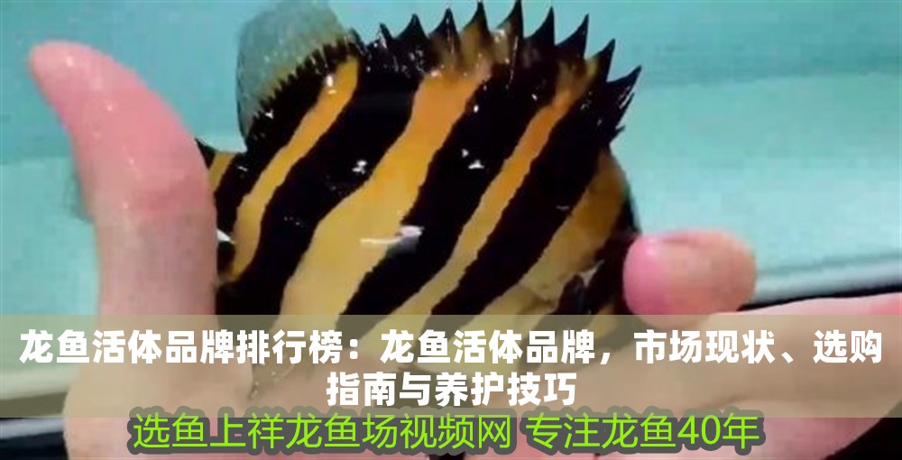 龍魚活體品牌排行榜：龍魚活體品牌，市場(chǎng)現(xiàn)狀、選購(gòu)指南與養(yǎng)護(hù)技巧