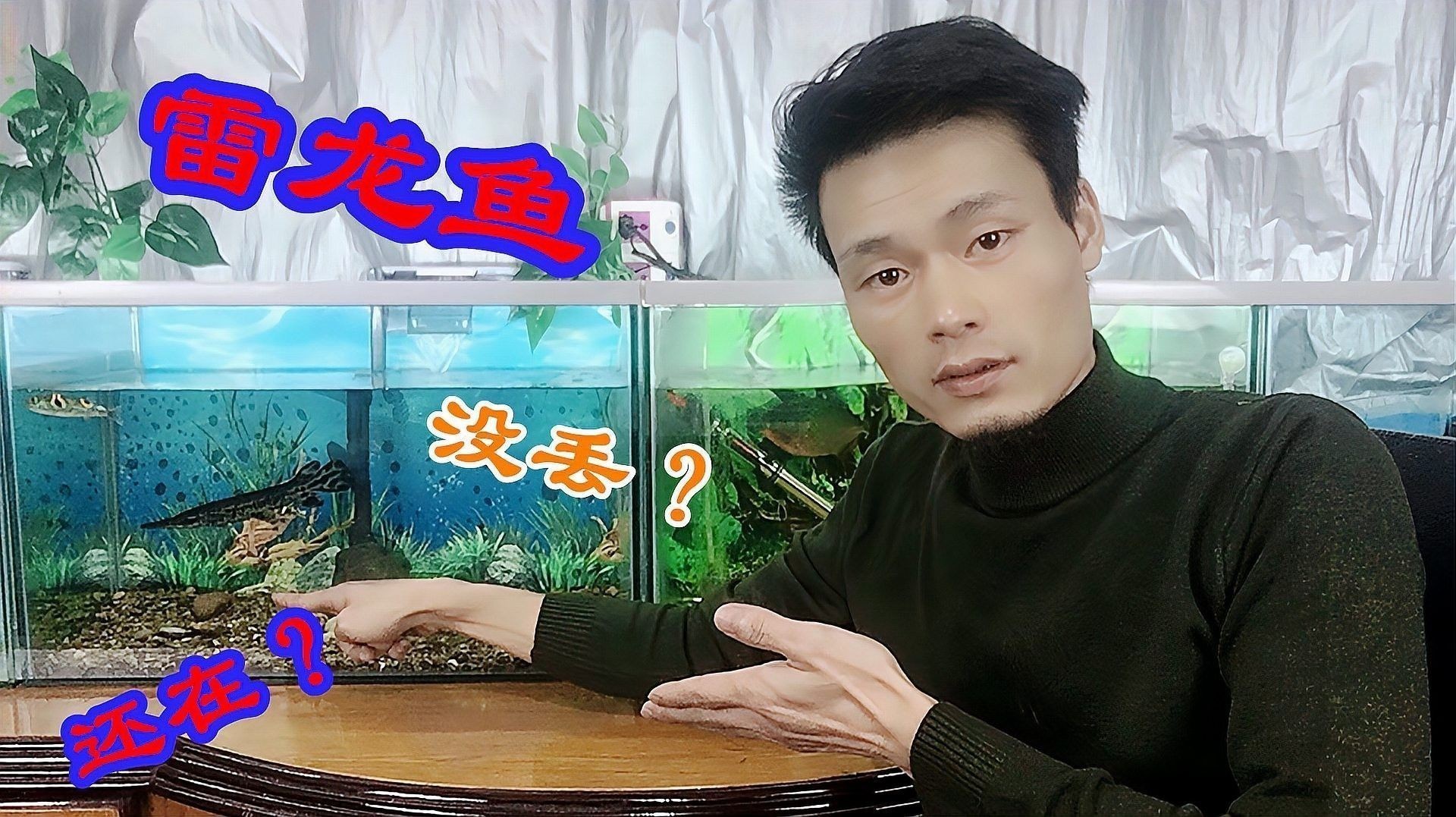 龍魚和雷龍魚哪個好養一點呢