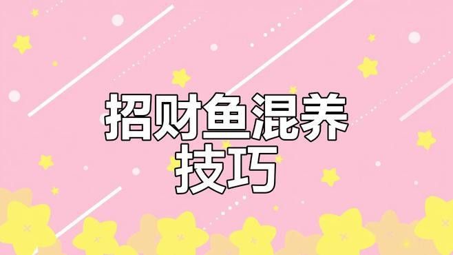 白子招財(cái)龍魚的最佳飼養(yǎng)環(huán)境是什么？