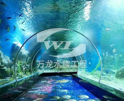 龍魚冬天水溫控制（冬季養龍魚時，水溫控制在26到28攝氏度之間最為適宜）