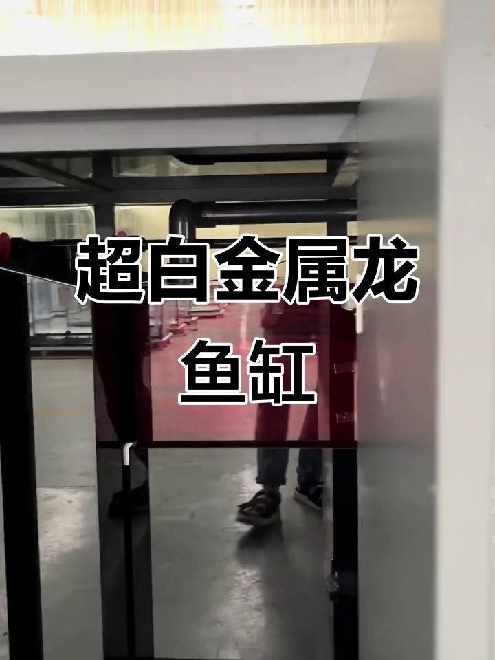 給我推薦幾款適合龍魚的魚缸品牌
