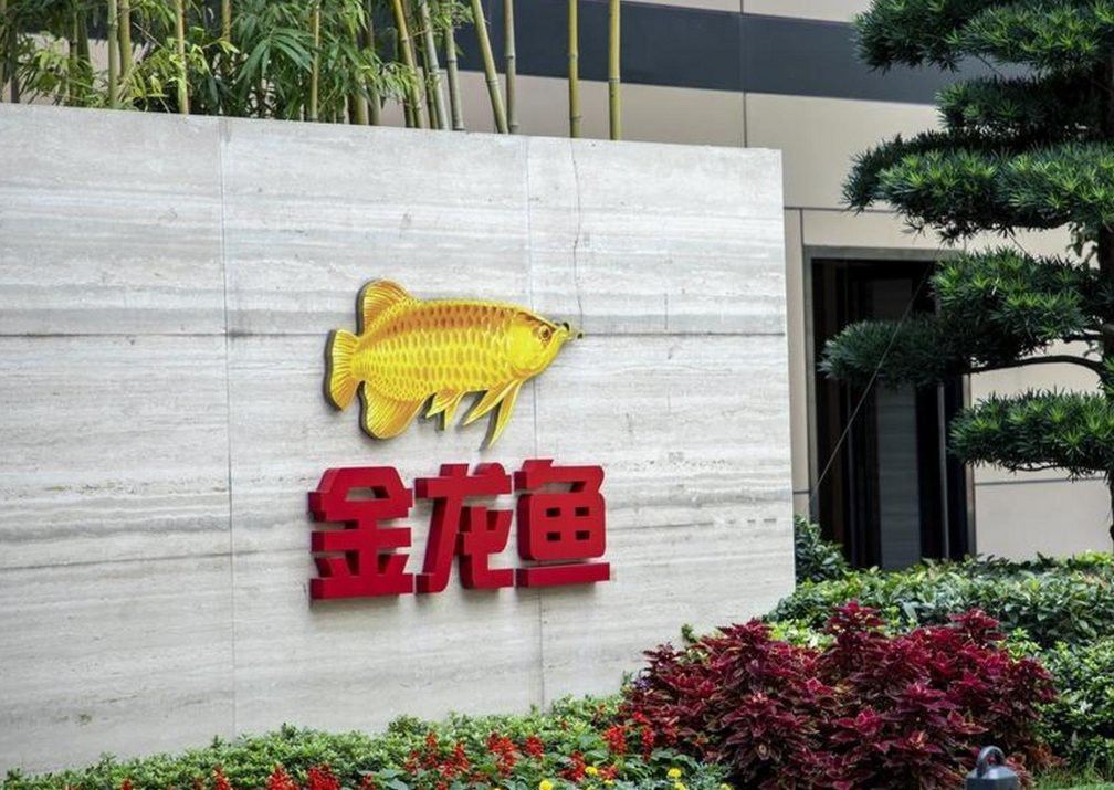 金龍魚問題
