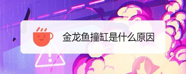龍魚(yú)撞缸后需要換水嗎？