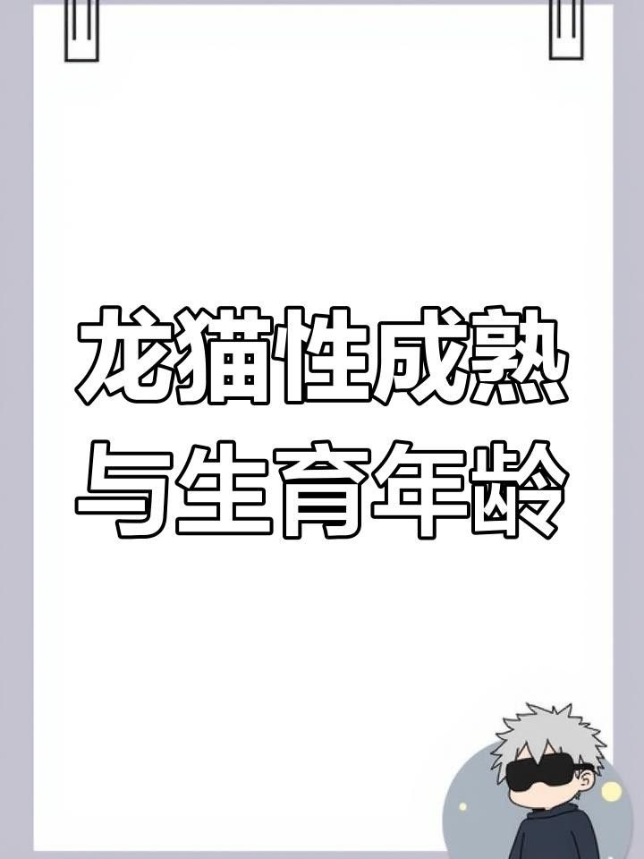 龍貓的最佳繁殖年齡