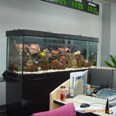 杭州魚缸批發市場（杭州魚缸批發市場價格）