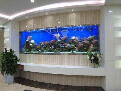 杭州魚缸批發市場（杭州魚缸批發市場價格）