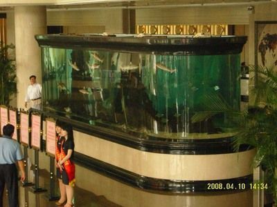 杭州魚缸批發市場（杭州魚缸批發市場價格）