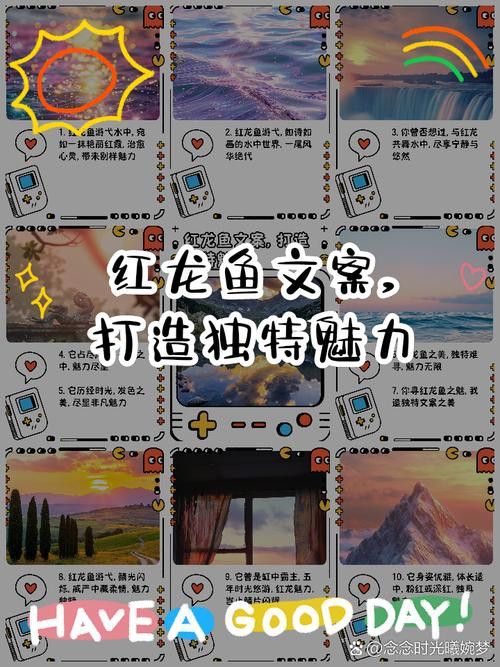 贊美紅龍魚經(jīng)典語錄圖片