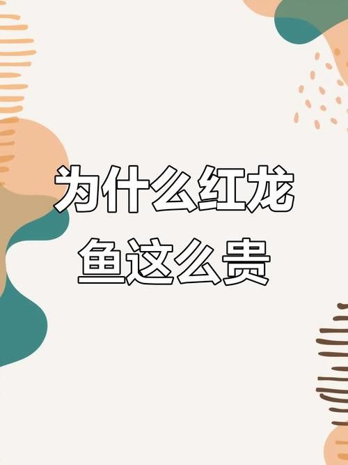 贊美紅龍魚經(jīng)典語錄圖片