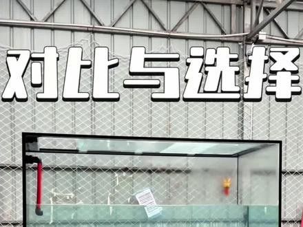 歐波龍魚缸
