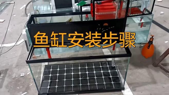 歐波龍魚缸