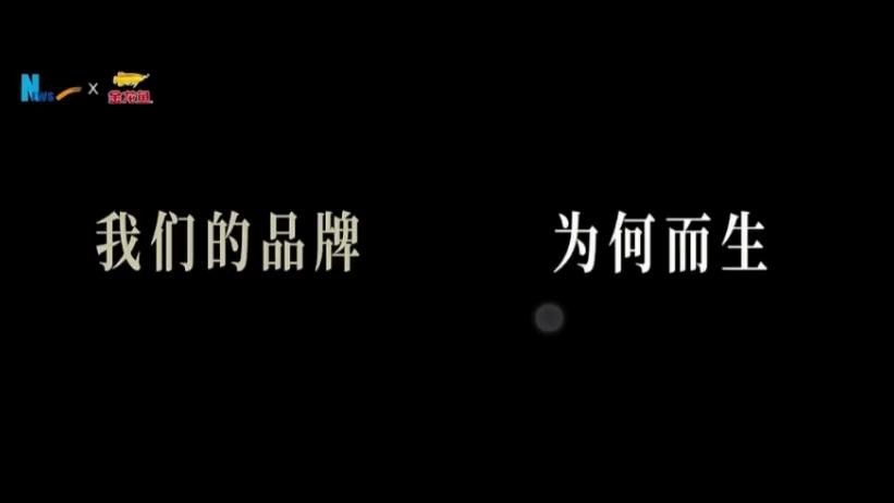 金龍魚的品牌價值觀是什么？