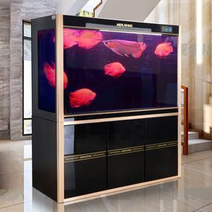 一米魚缸養金龍魚（一米的魚缸適合長期飼養金龍魚嗎？）