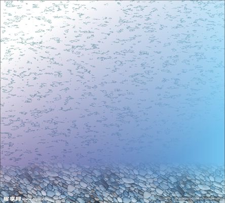 紅龍魚用什么濾材比較好（紅龍魚用什么濾材比較好養(yǎng)）