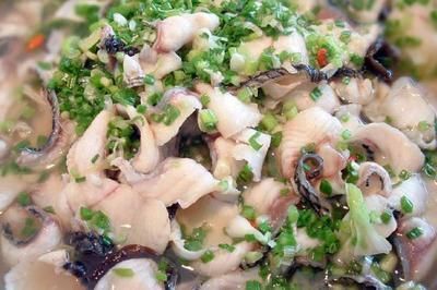 烏龍魚是什么樣子（烏龍魚是一種體形較大、顏色多樣的淡水魚類）