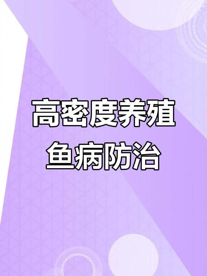 如何預防海水魚體表細菌感染？