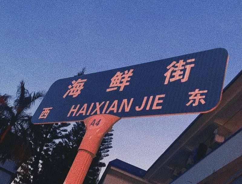 惠州龍魚批發市場地址