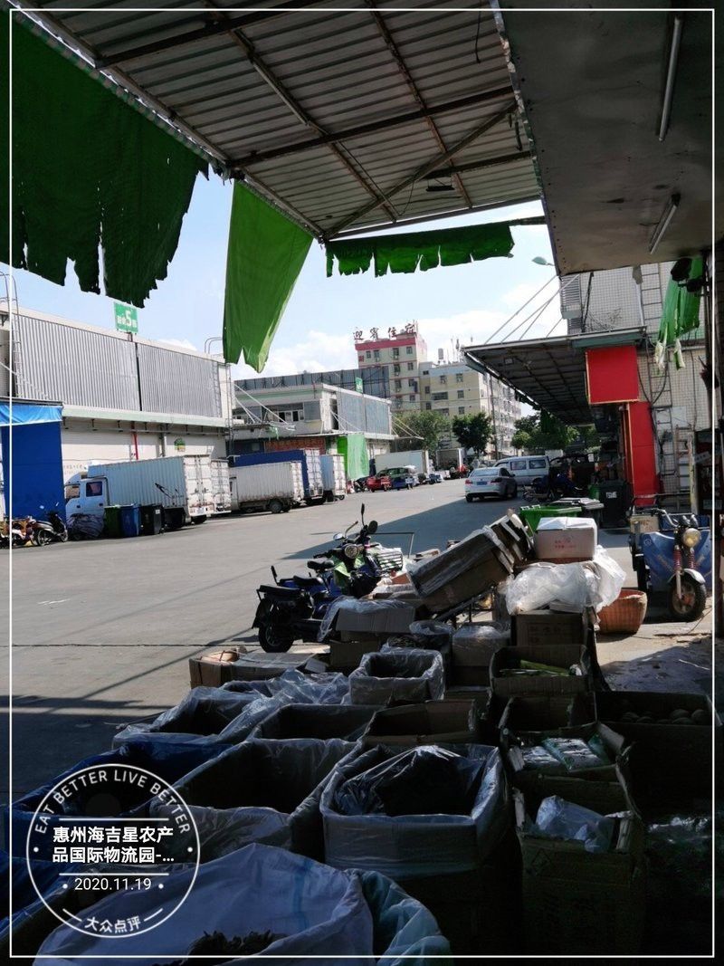 惠州龍魚批發市場地址