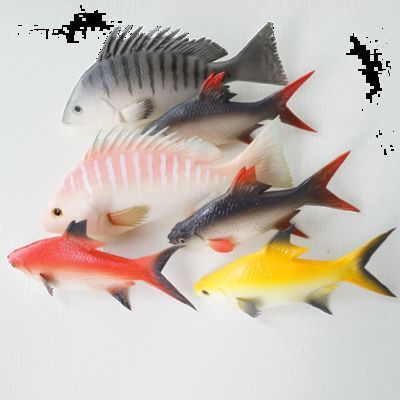 龍魚是否可以吃小羅非魚（龍魚可以吃小羅非魚嗎）