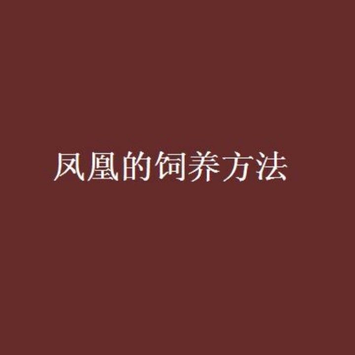 主角李凡如何飼養鳳凰？