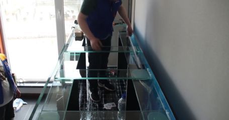 如何防止龍魚撞拉筋：防止龍魚撞拉筋的方法