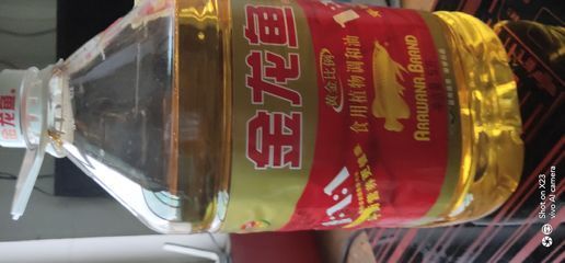 金龍魚客戶服務熱線：金龍魚客戶服務熱線的詳細信息 金龍魚客戶服務熱線：金龍魚客戶服務熱線的詳細信息 龍魚百科 第1張