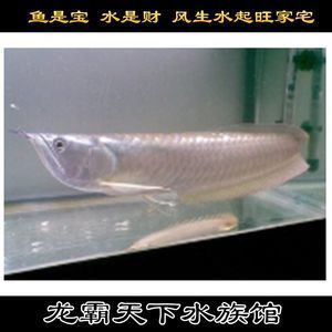 哪種凈化方法最有效？