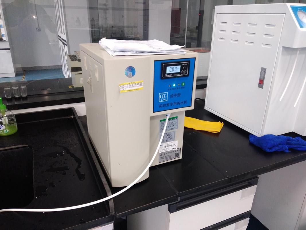 銀龍魚飼養方法及注意事項大全圖片