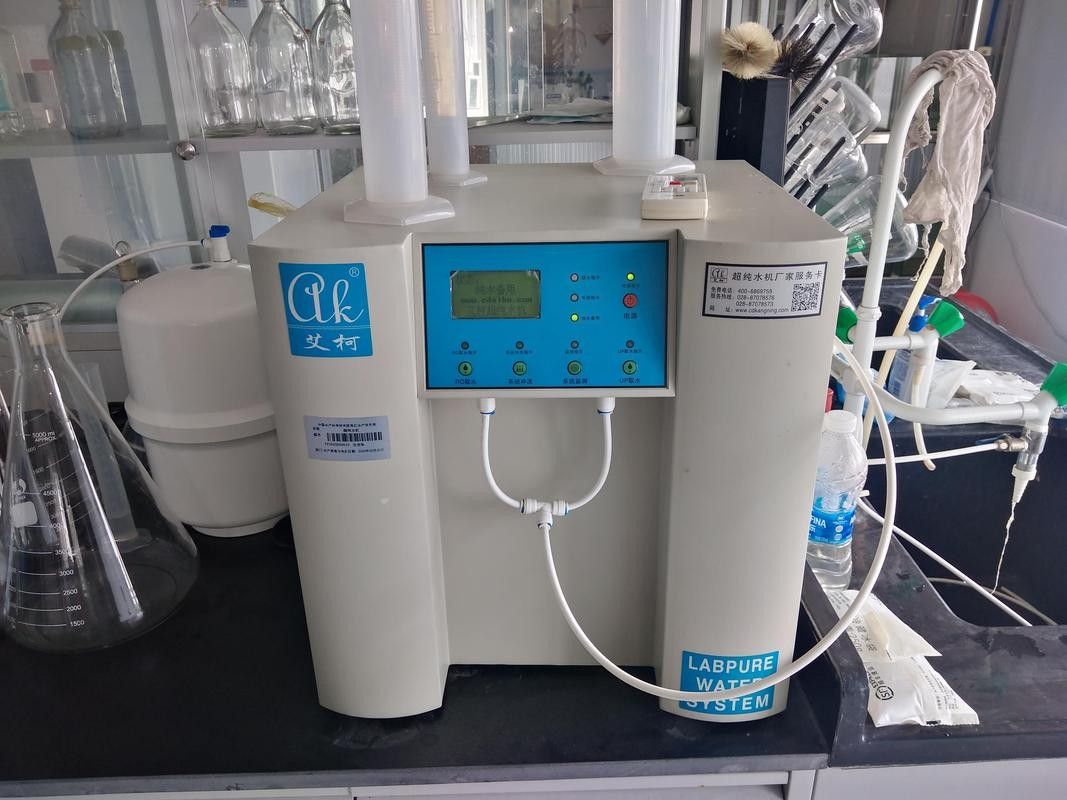 銀龍魚飼養方法及注意事項大全圖片