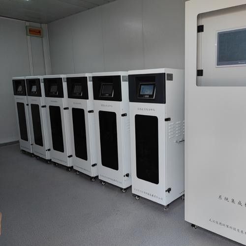 銀龍魚飼養方法及注意事項大全圖片