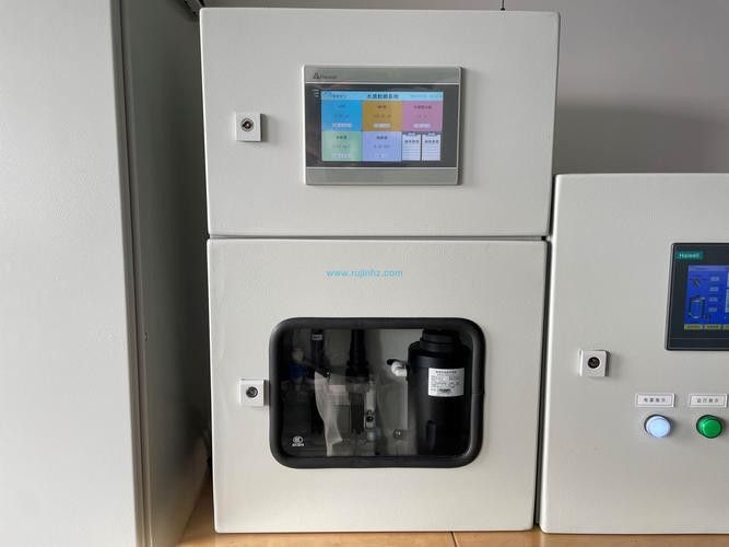 銀龍魚飼養方法及注意事項大全圖片