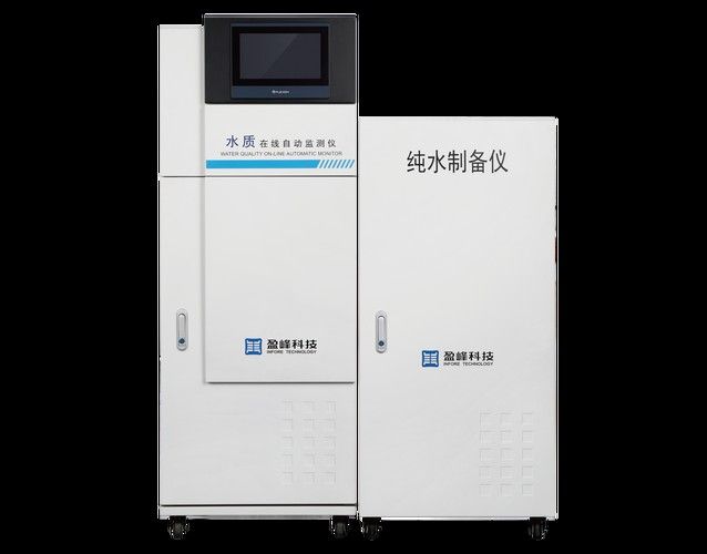 銀龍魚飼養方法及注意事項大全圖片