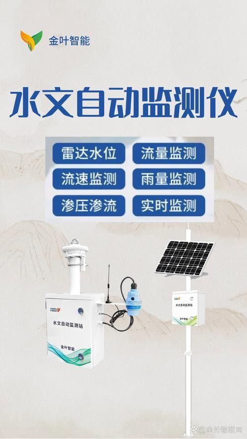 銀龍魚飼養方法及注意事項大全圖片