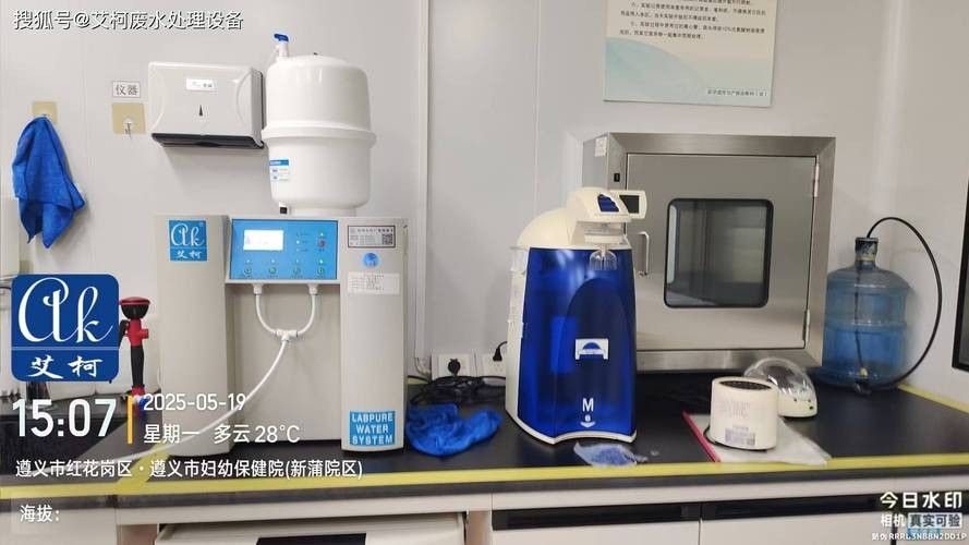 銀龍魚飼養方法及注意事項大全圖片