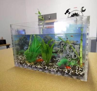 十大品牌龍魚排名榜