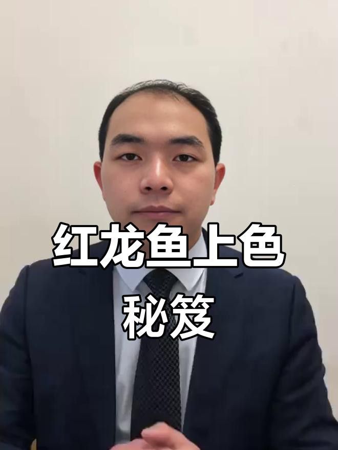 紅龍魚成魚階段應該喂什么食物？