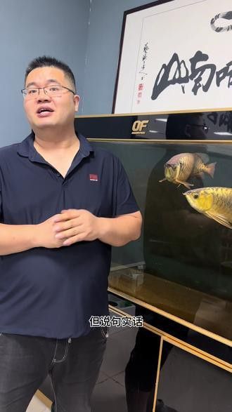 火龍魚怎么分公母圖片視頻