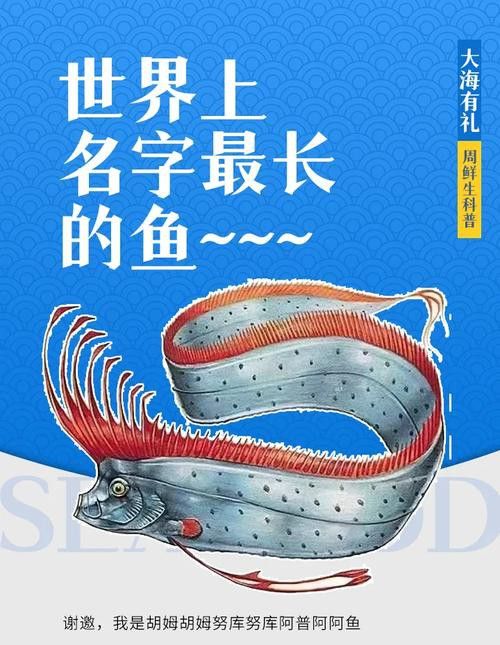世界上最大的龍魚圖片