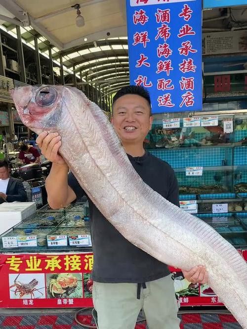 世界上最大的龍魚圖片