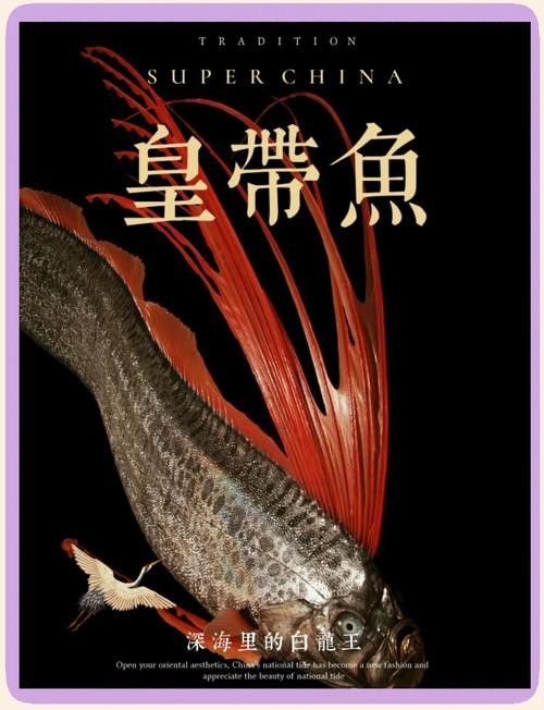 世界上最大的龍魚圖片