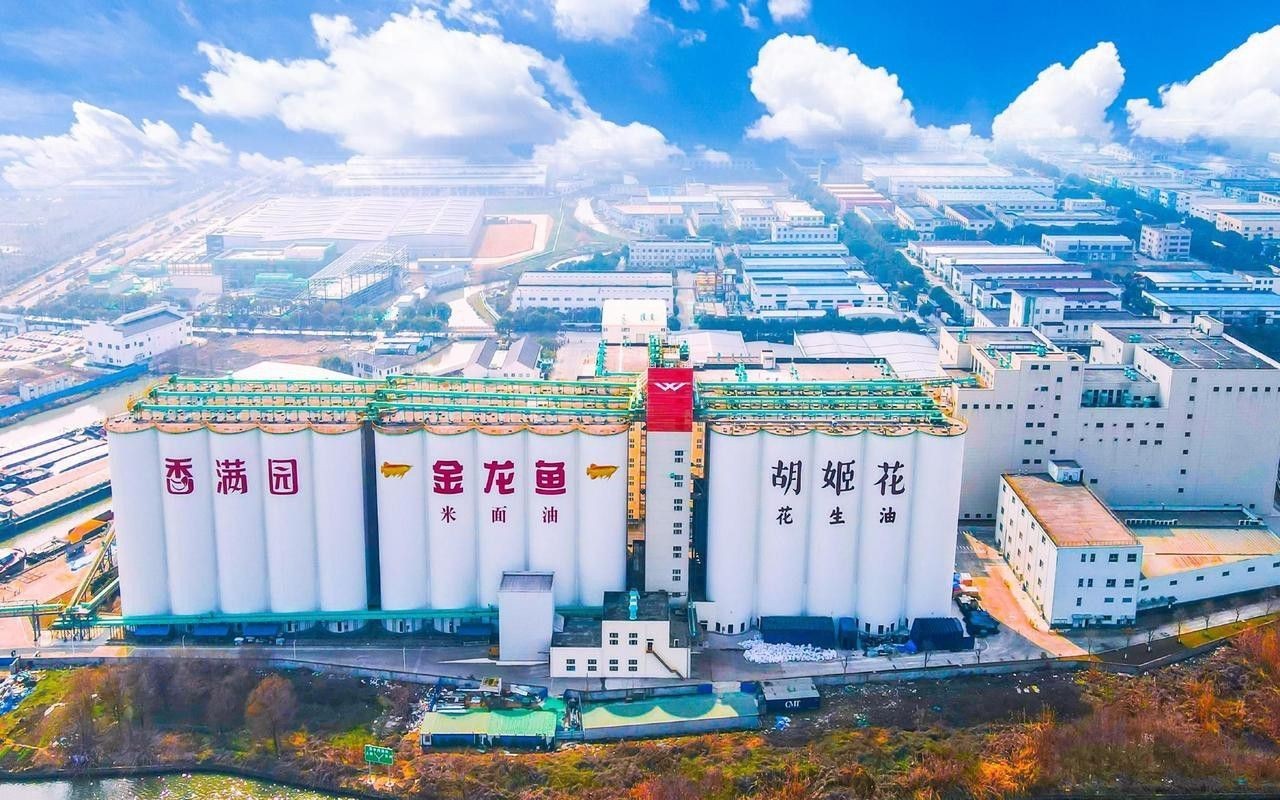 金龍魚公司是哪里的品牌