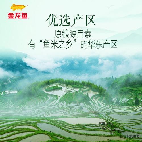 金龍魚公司是哪里的品牌