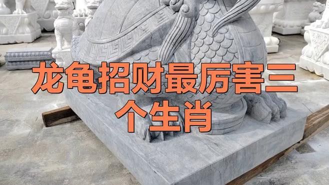 屬龍的人養龜有哪些好處