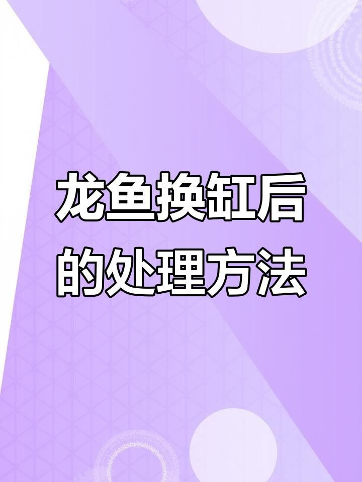 如何治療銀龍魚的水霉病？