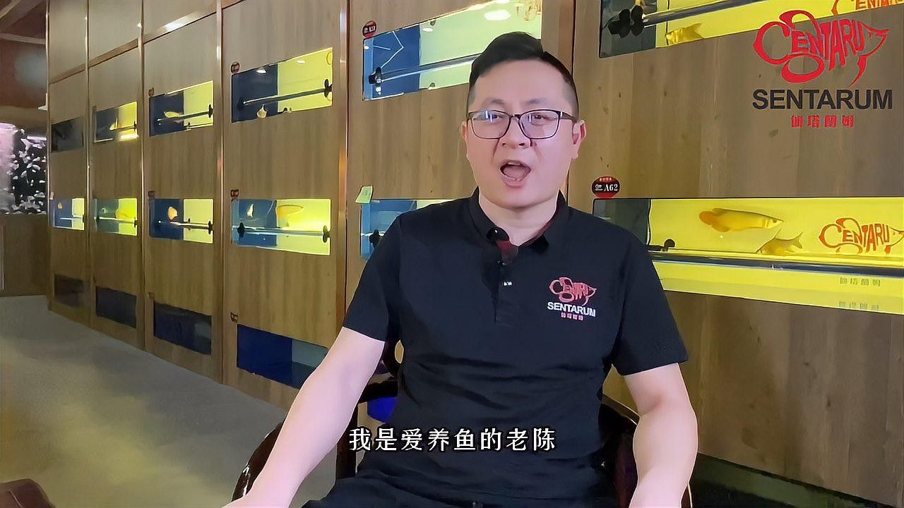 適合龍魚的魚缸尺寸圖